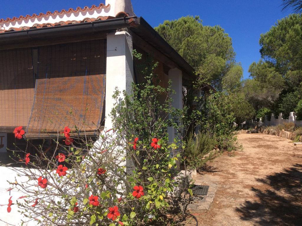 Chia Aloe & Cactus Villa Exterior photo